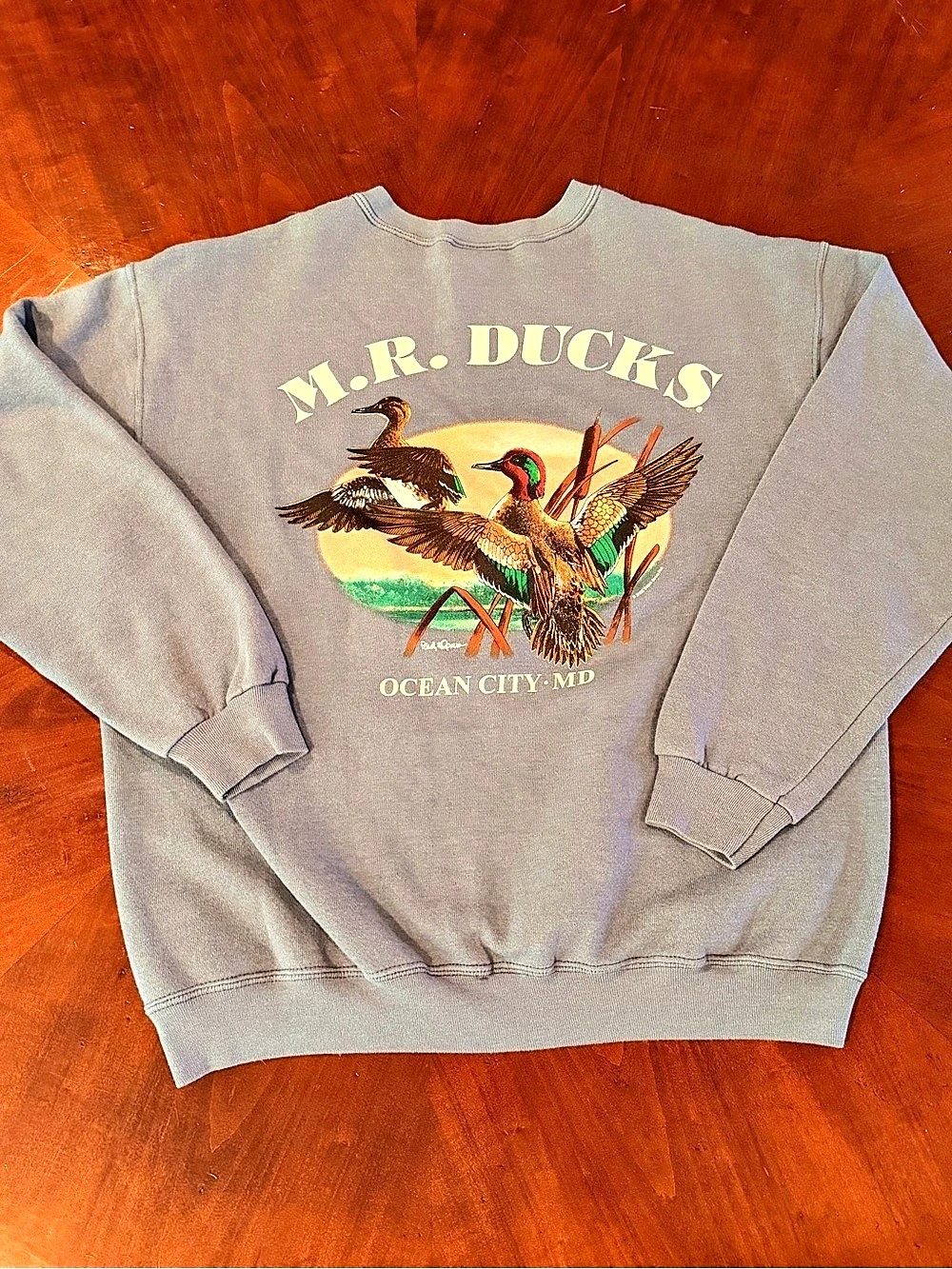 Lee M.R. Ducks Ocean City MD 2003 Sweatshirt Gray Large